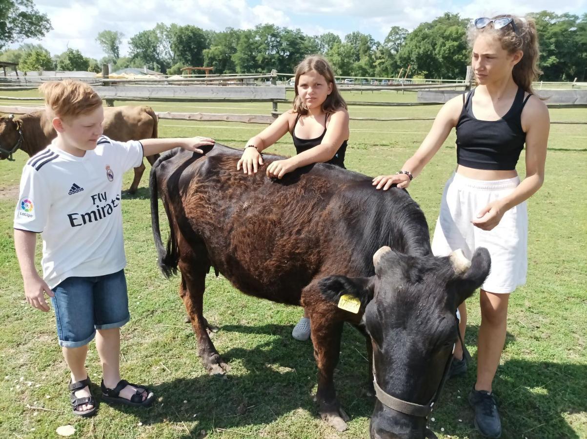 Villa Zoopark Zelcin à Mělník Extérieur photo
