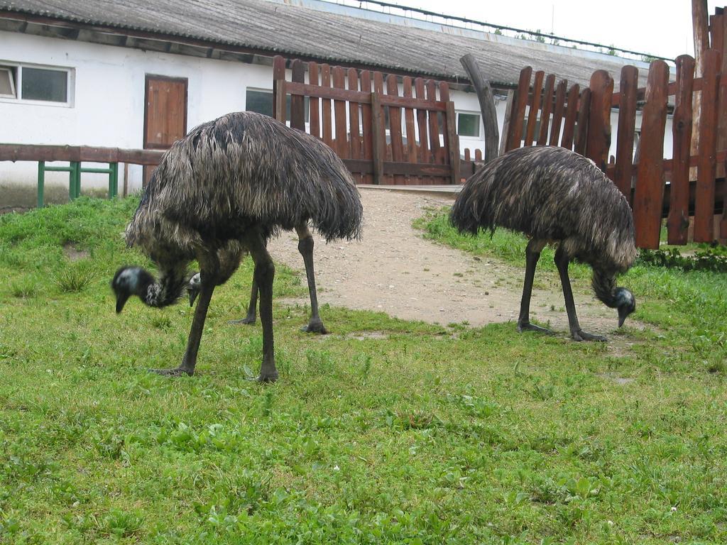 Villa Zoopark Zelcin à Mělník Extérieur photo