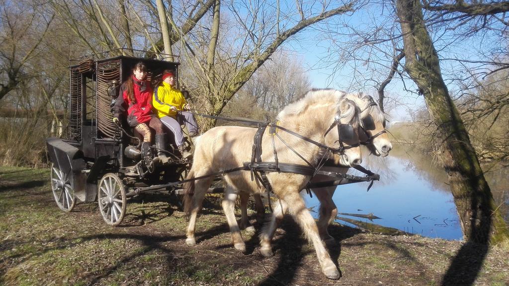 Villa Zoopark Zelcin à Mělník Extérieur photo